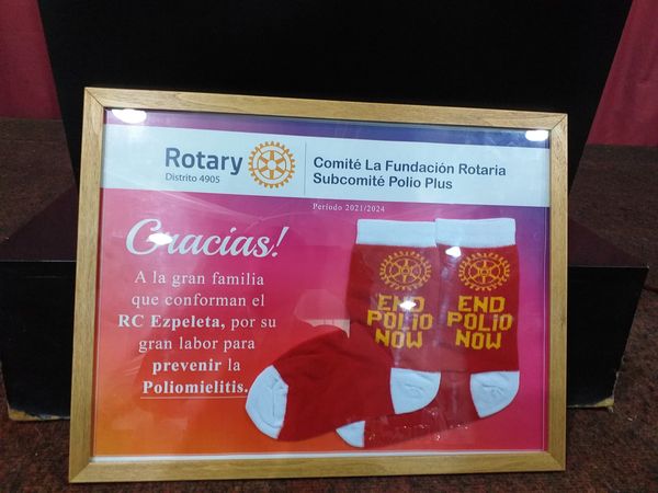 Reconocimiento del Subcomité Polio Plus del Distrito 4905