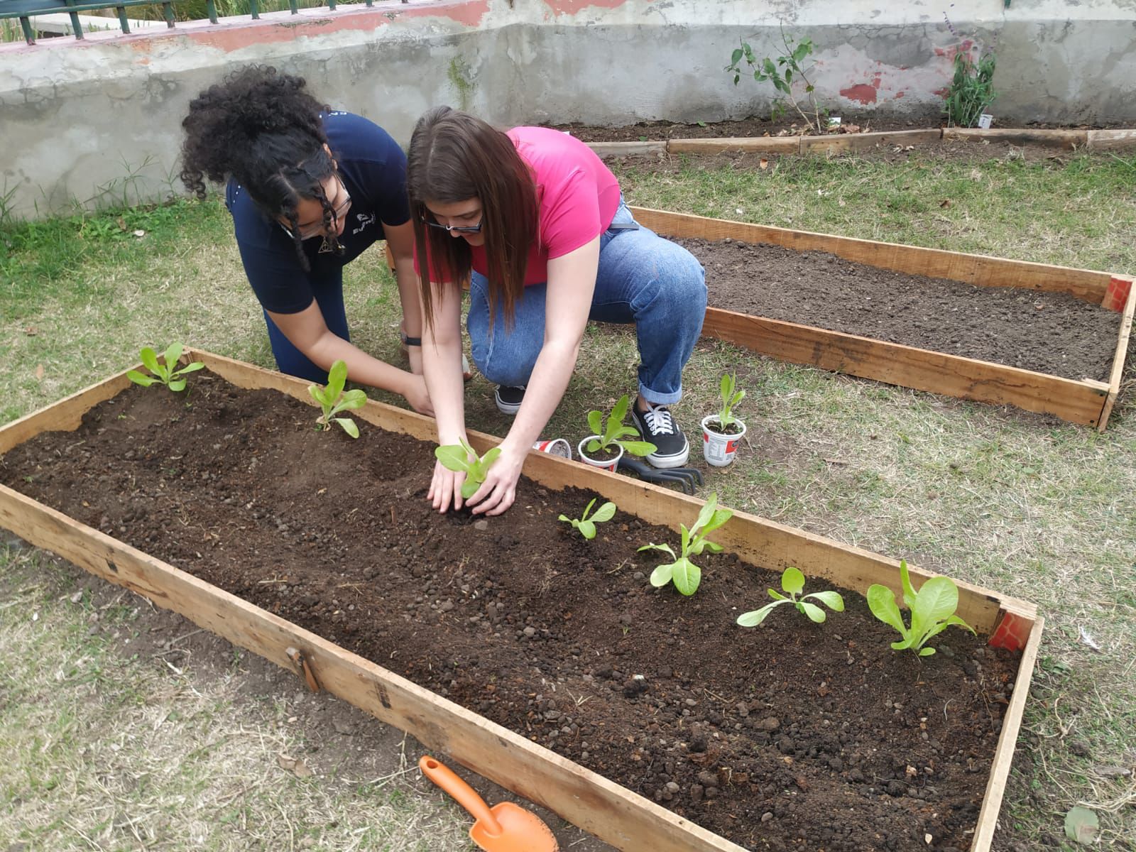Rotaract Flores: Proyecto de Medio Ambiente