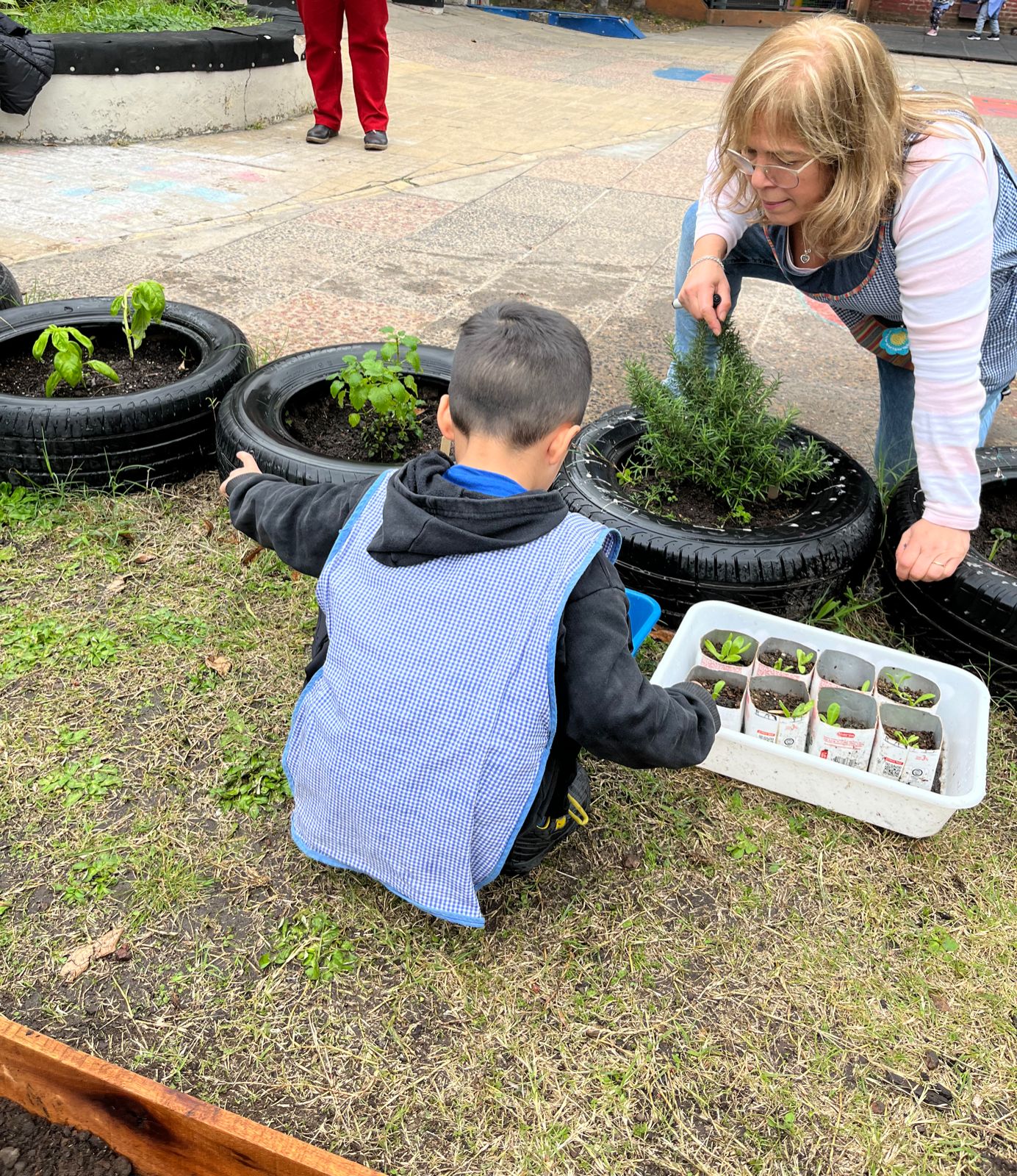 Rotaract Flores: Proyecto de Medio Ambiente