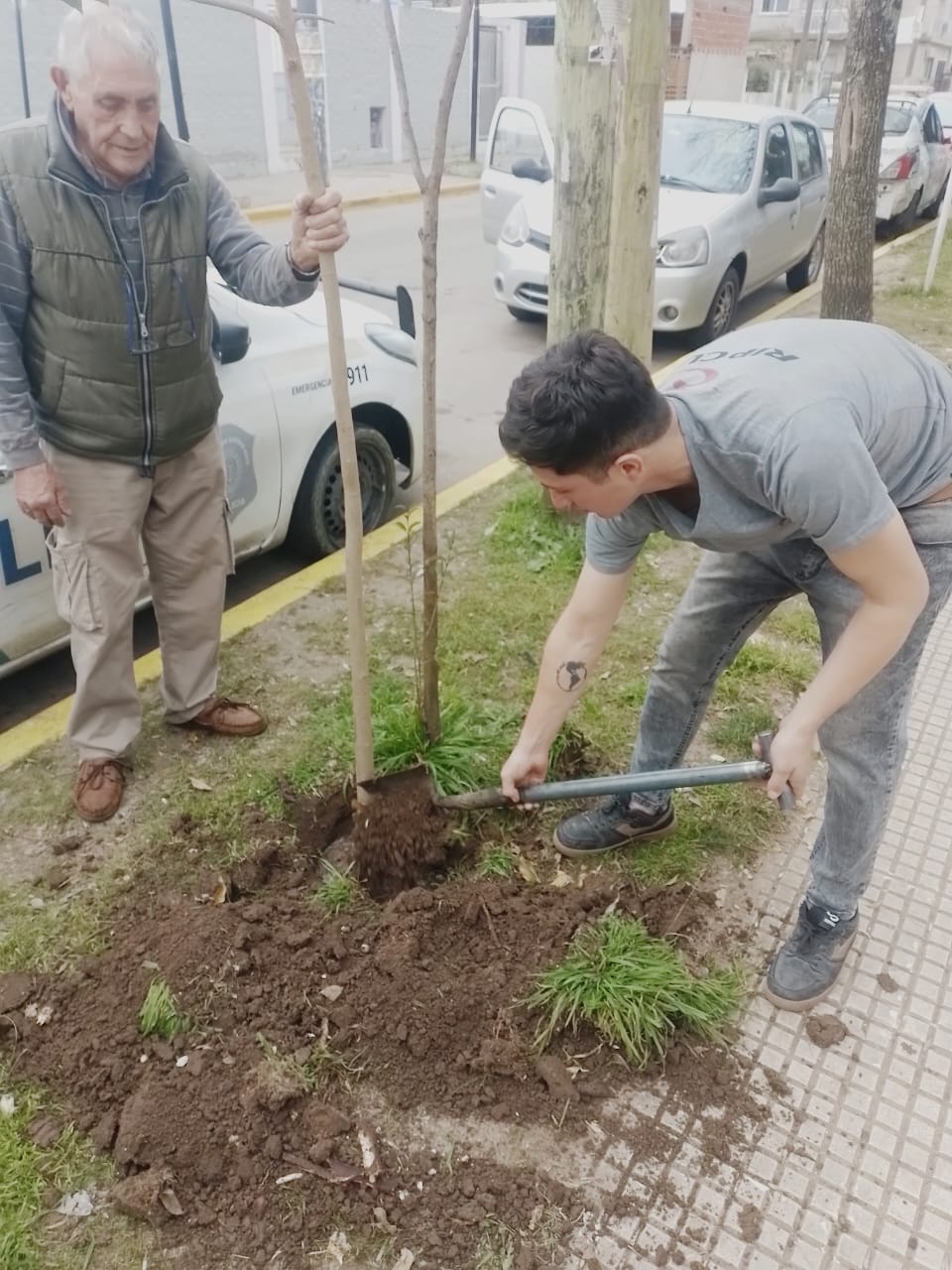 Plantación de árboles en la comunidad
