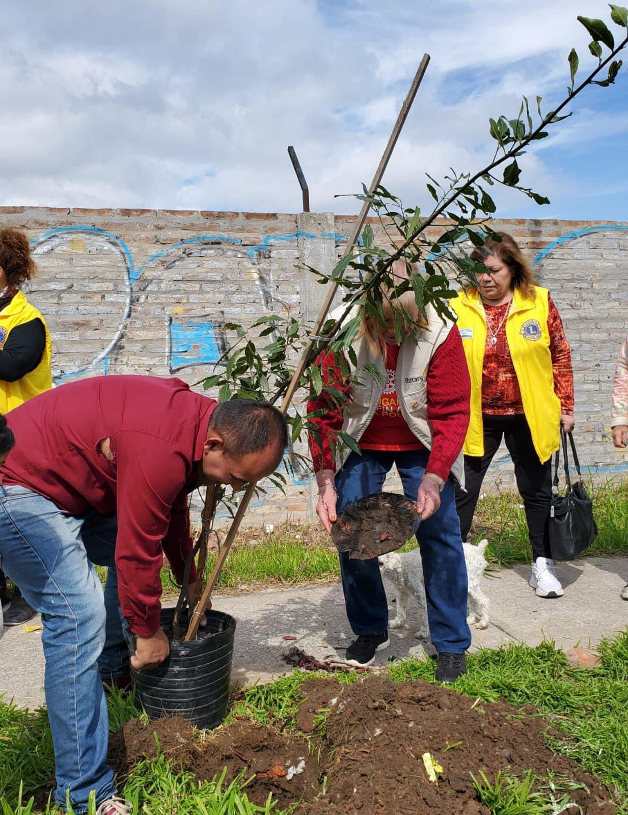 Tarea conjunta en la reforestación del espacio público