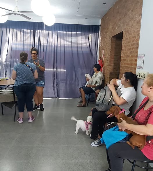 Jornada de esterilización de mascotas