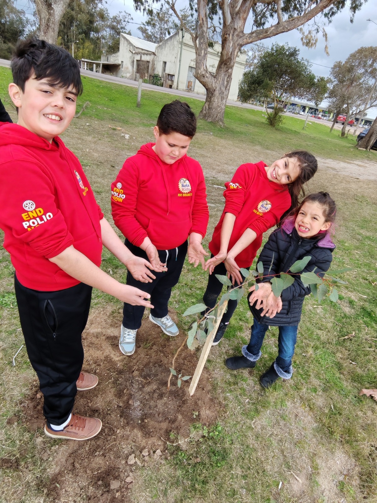 Jornada de plantación de árboles junto a Rotakids