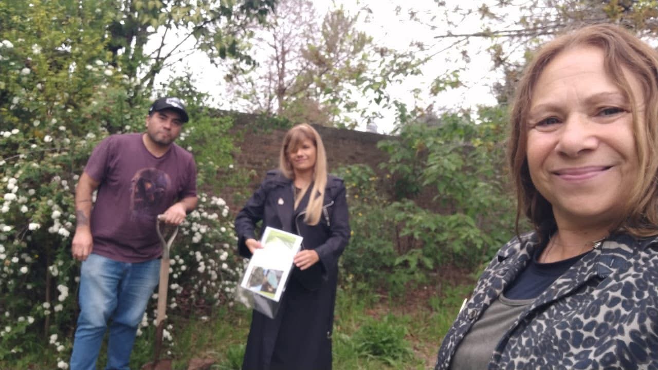 Protección del medio ambiente con la plantación de coronillos
