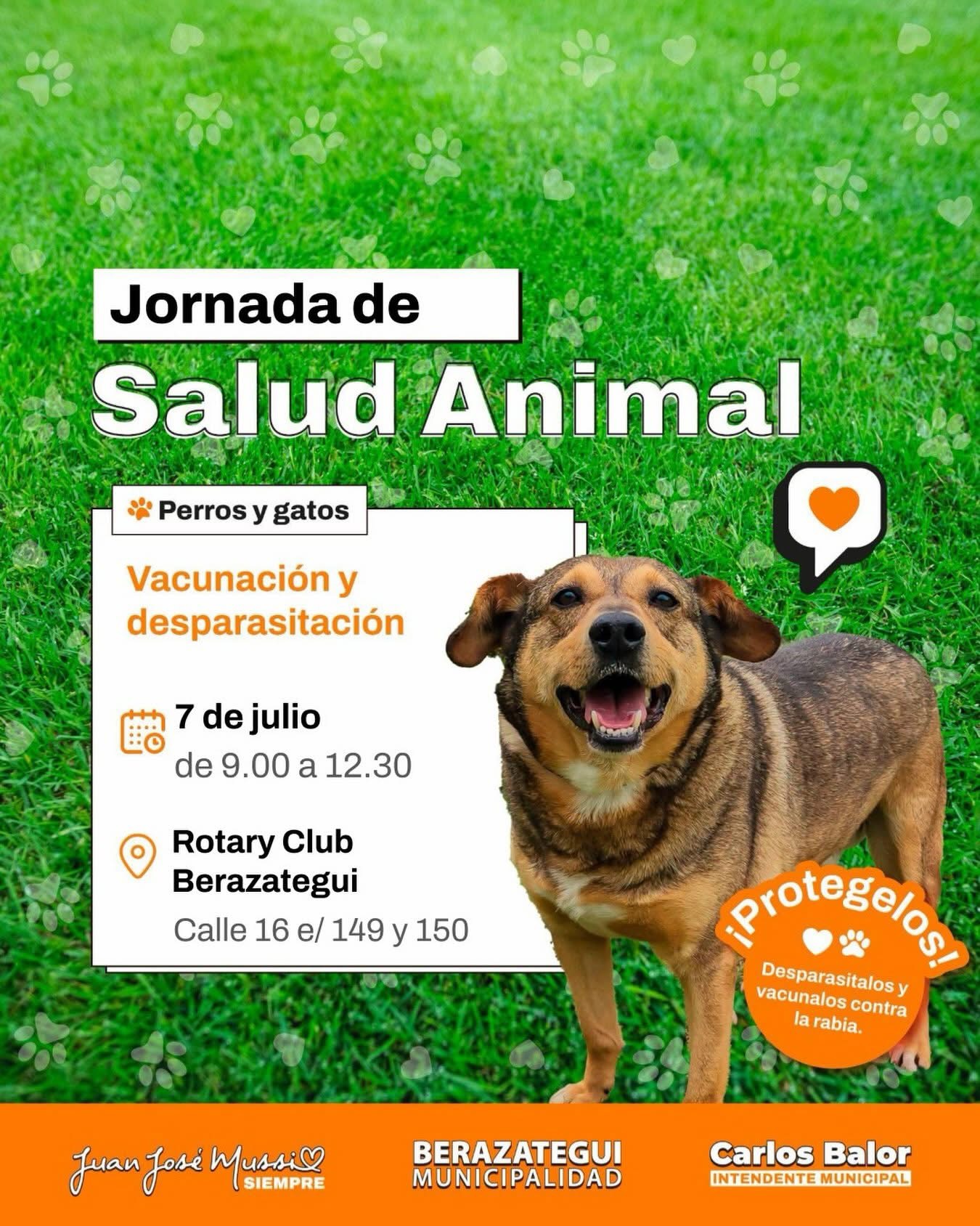Jornada de vacunación y desparasitación