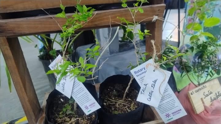 LIBRARTE 2026 - PLANTAS NATIVAS.