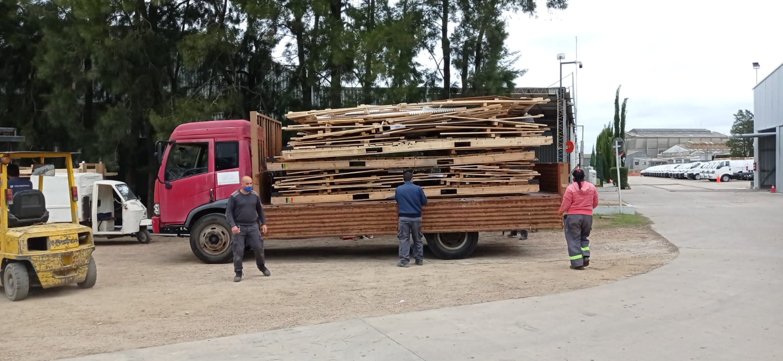 Programa RECICLAR