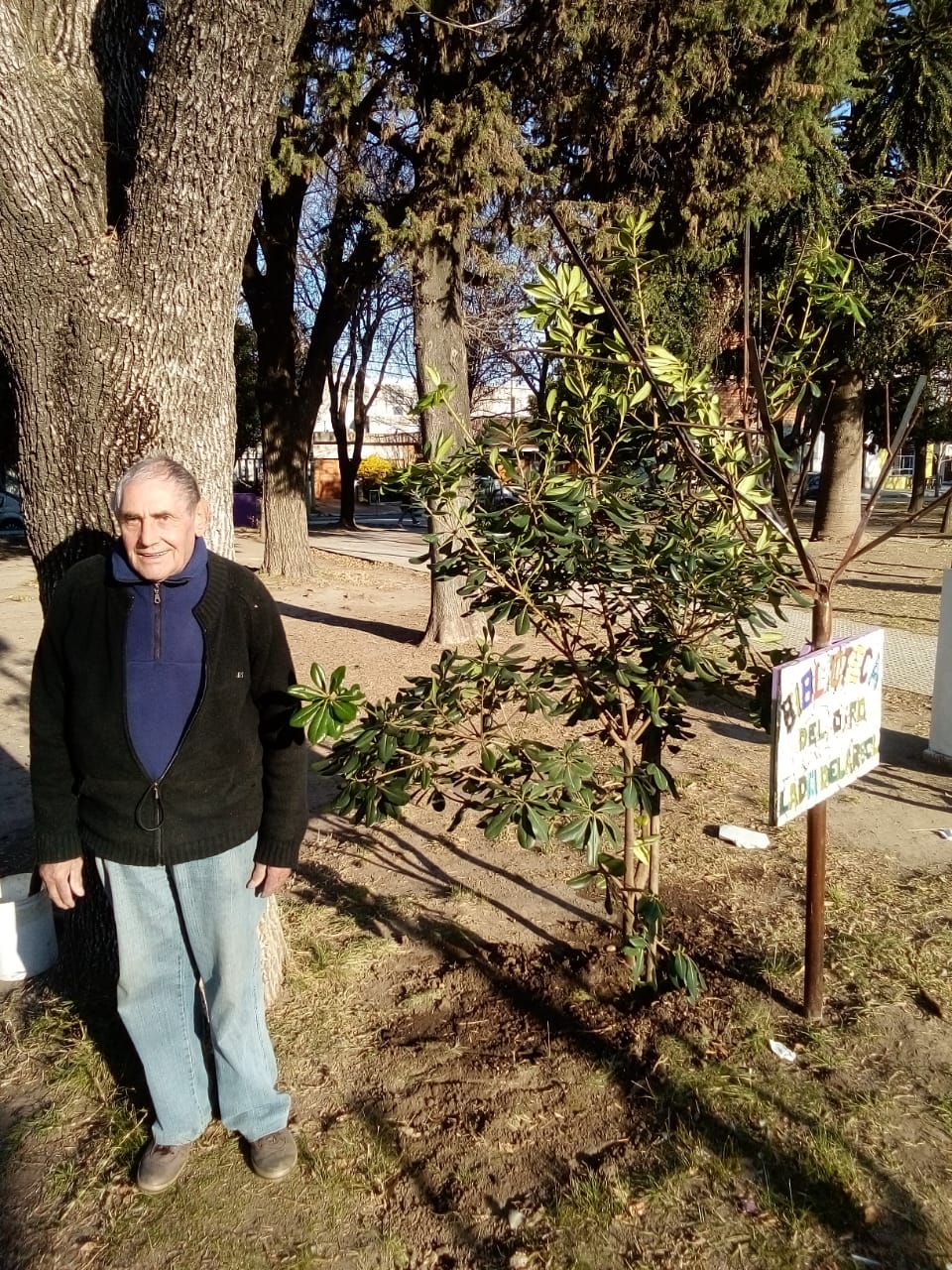 CONTINUIDAD DE LA CAMPAÑA DE FORESTACIÓN